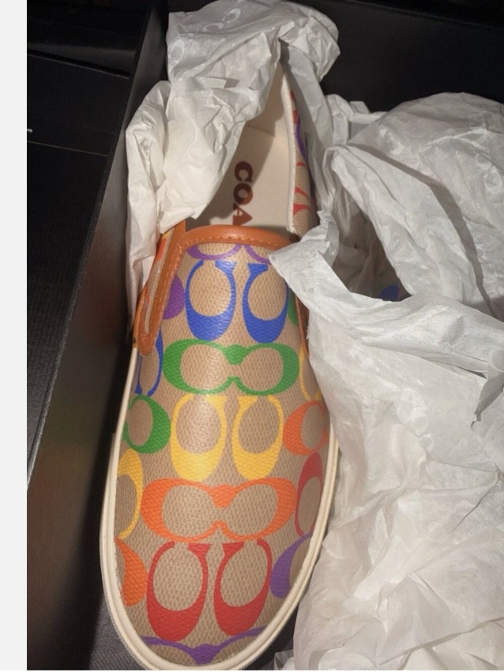 Coach Pride Size US 7.5 Rainbow Signature Canvas Slip On Skate Shoe NIB